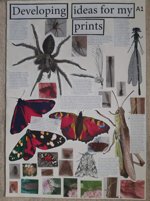 AlfieC insect III