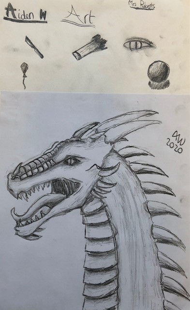Y7 Aiden dragon