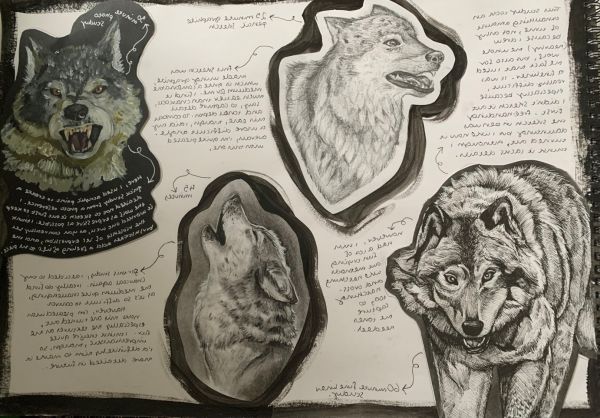 JaredG wolves